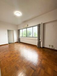 The Cairnhill (D9), Condominium #622253531